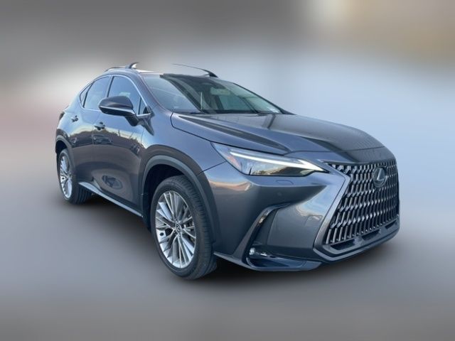 2024 Lexus NX 350 Luxury