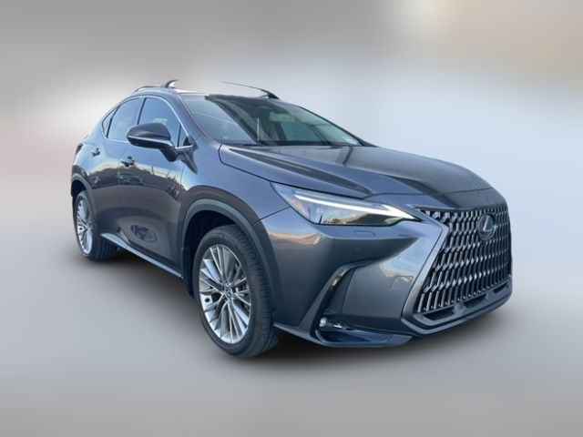 2024 Lexus NX 350 Luxury