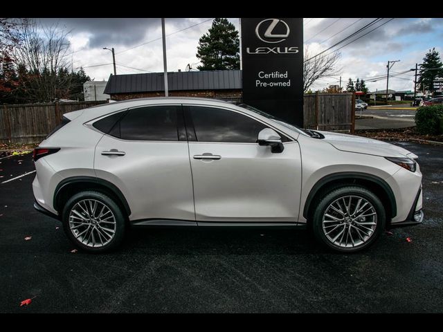 2024 Lexus NX 350 Luxury