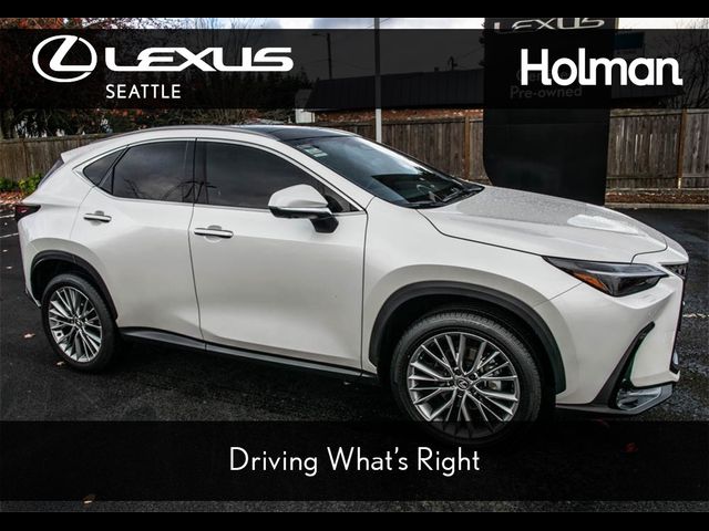 2024 Lexus NX 350 Luxury