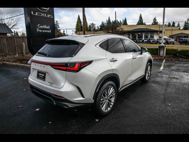 2024 Lexus NX 350 Luxury