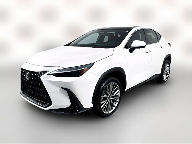 2024 Lexus NX 350 Luxury