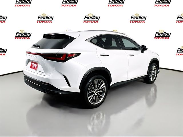 2024 Lexus NX 350 Luxury