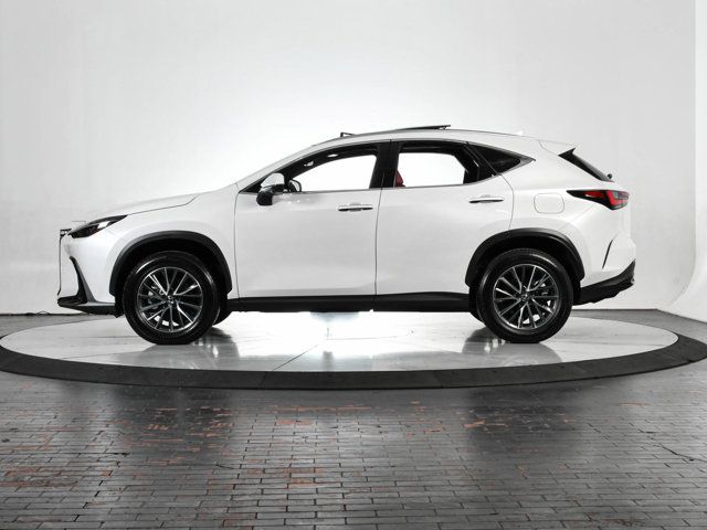 2024 Lexus NX 350 Luxury