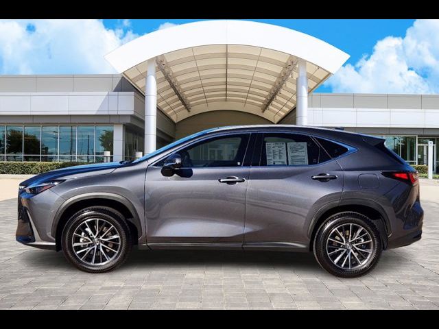 2024 Lexus NX 350 Luxury