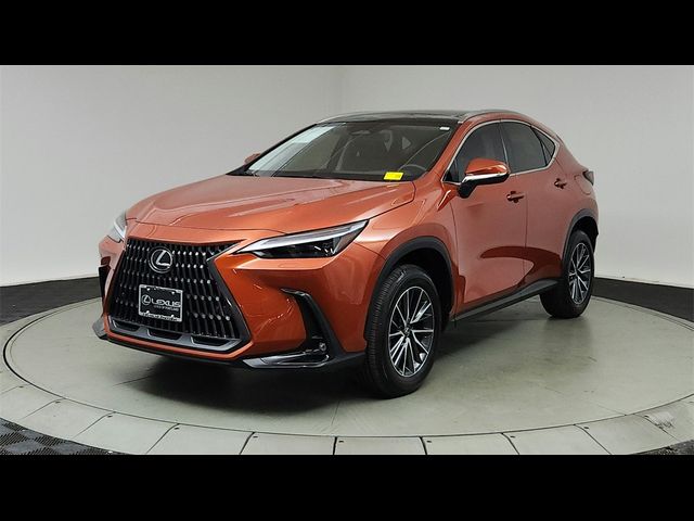 2024 Lexus NX 350 Luxury