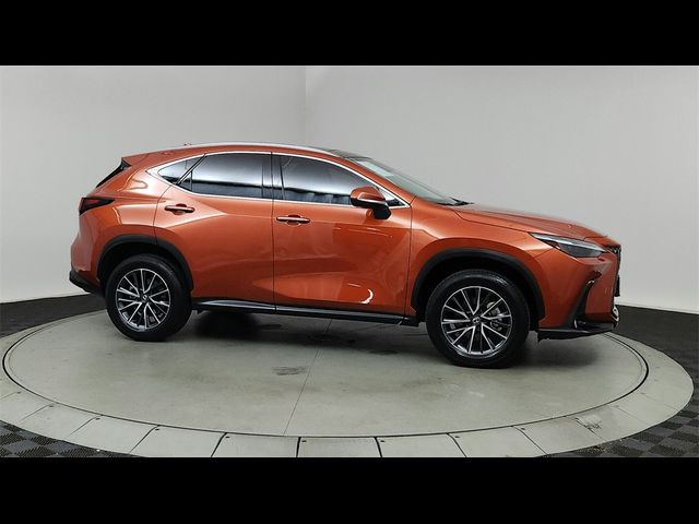 2024 Lexus NX 350 Luxury