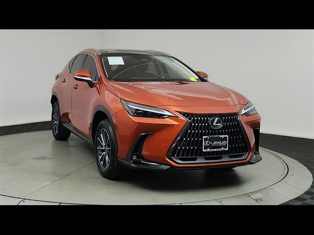 2024 Lexus NX 350 Luxury