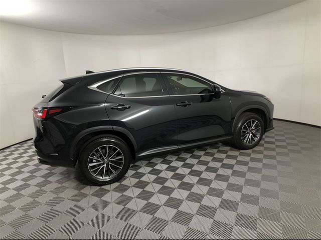 2024 Lexus NX 350 Luxury