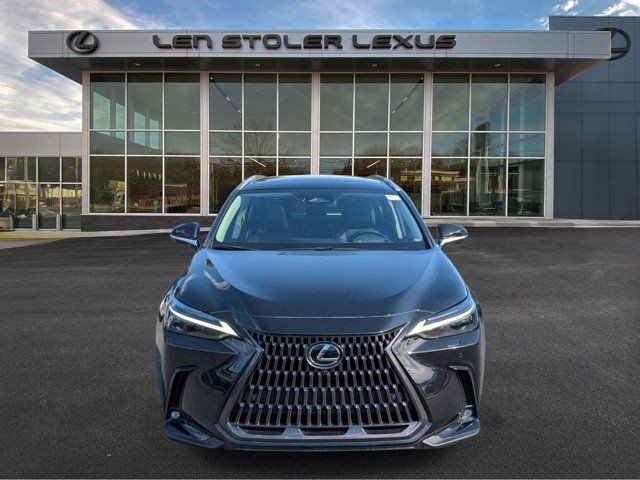 2024 Lexus NX 350 Luxury