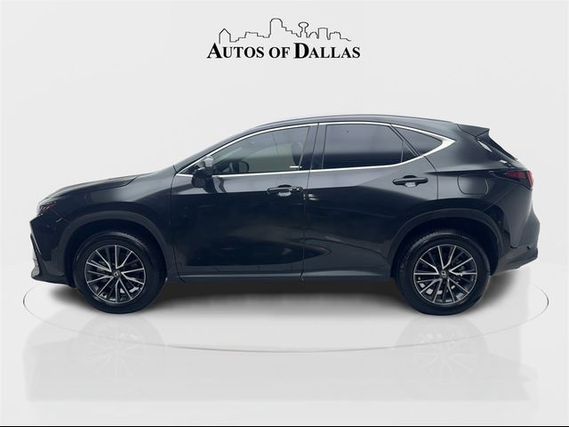 2024 Lexus NX 350