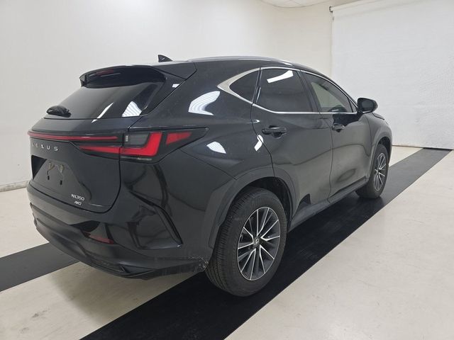 2024 Lexus NX 350