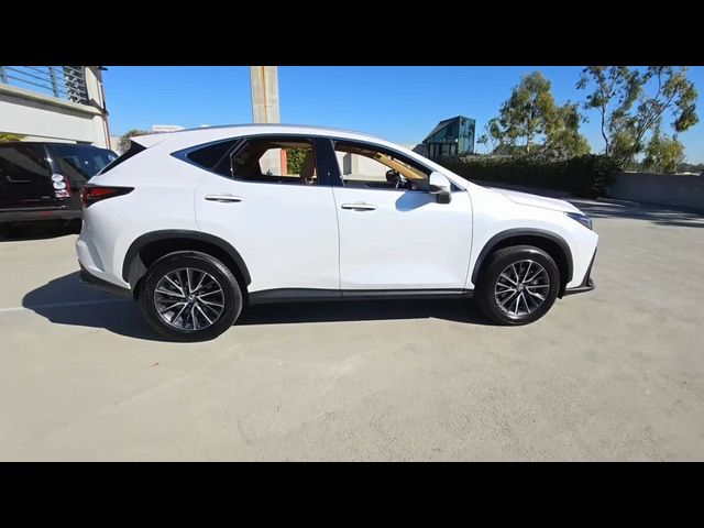 2024 Lexus NX 350