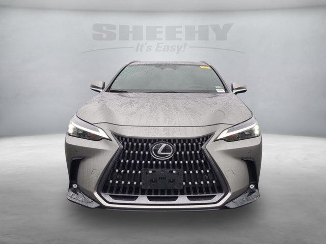 2024 Lexus NX 350 Premium