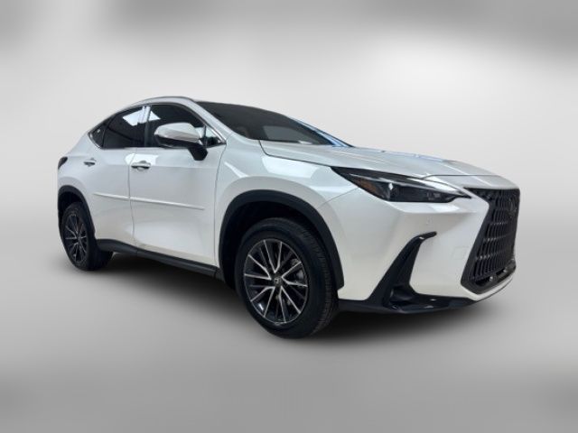 2024 Lexus NX 350 Premium