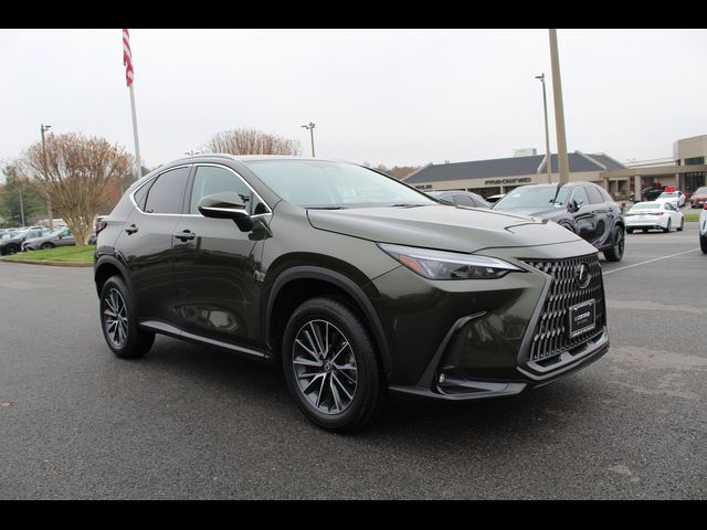 2024 Lexus NX 350 Premium