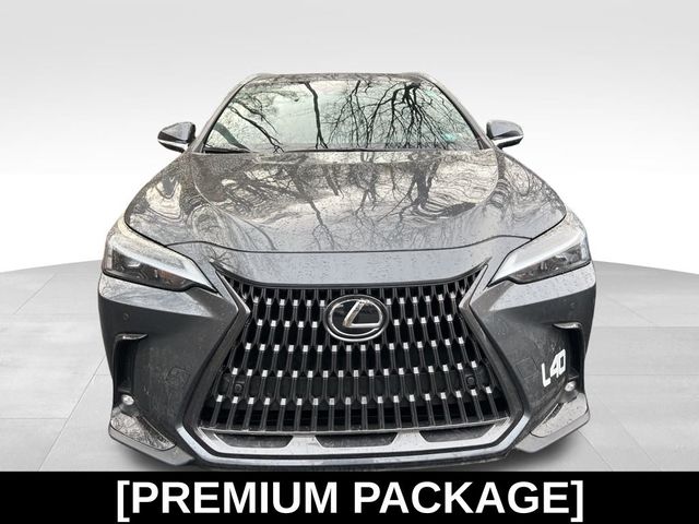 2024 Lexus NX 350 Premium