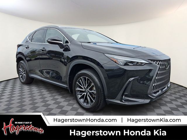 2024 Lexus NX 350 Premium
