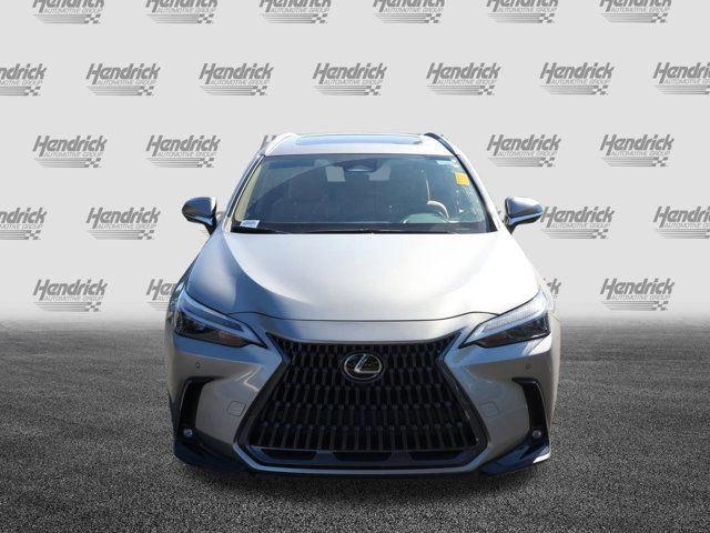 2024 Lexus NX 350 Premium