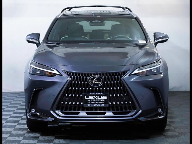 2024 Lexus NX 350 Premium