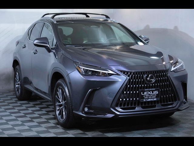 2024 Lexus NX 350 Premium