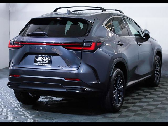 2024 Lexus NX 350 Premium