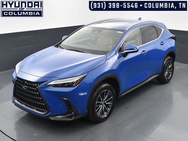 2024 Lexus NX 350 Premium