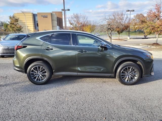 2024 Lexus NX 350 Premium