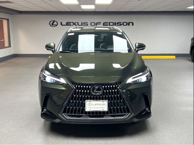 2024 Lexus NX 350 Premium