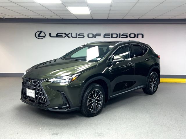 2024 Lexus NX 350 Premium