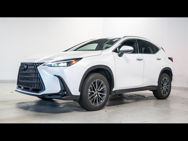 2024 Lexus NX 350 Premium