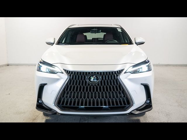 2024 Lexus NX 350 Premium