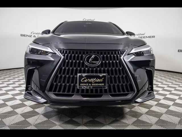 2024 Lexus NX 350 Premium