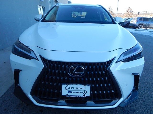 2024 Lexus NX 350 Premium