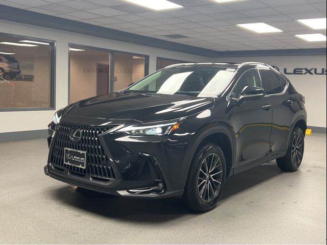 2024 Lexus NX 350 Premium