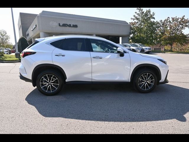 2024 Lexus NX 350 Premium