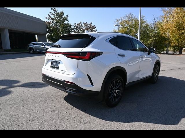 2024 Lexus NX 350 Premium