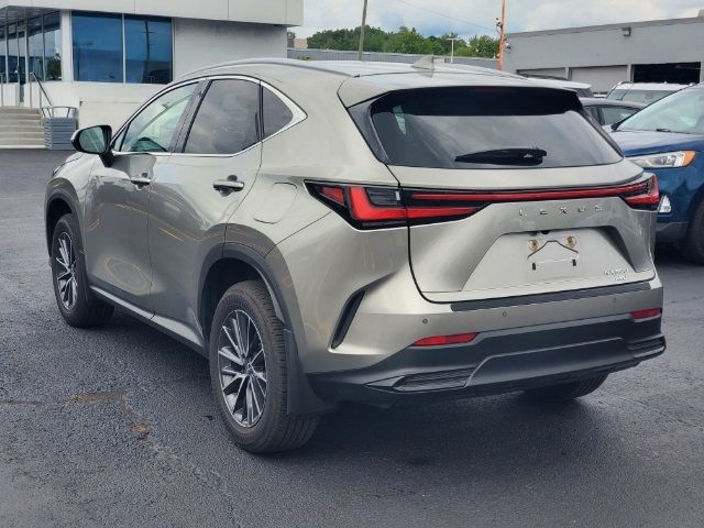 2024 Lexus NX 350 Premium