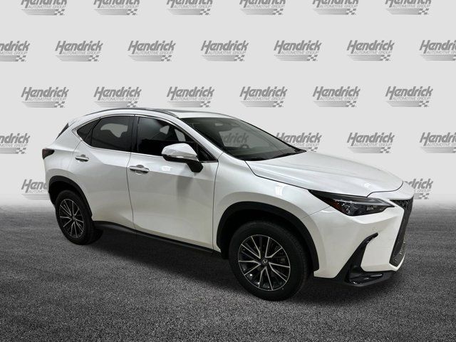 2024 Lexus NX 350 Premium