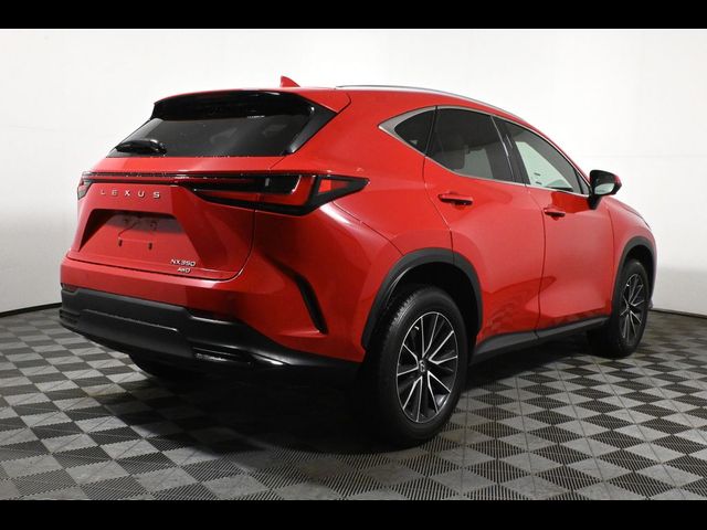 2024 Lexus NX 350 Premium