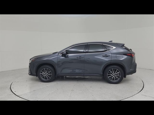 2024 Lexus NX 350 Premium