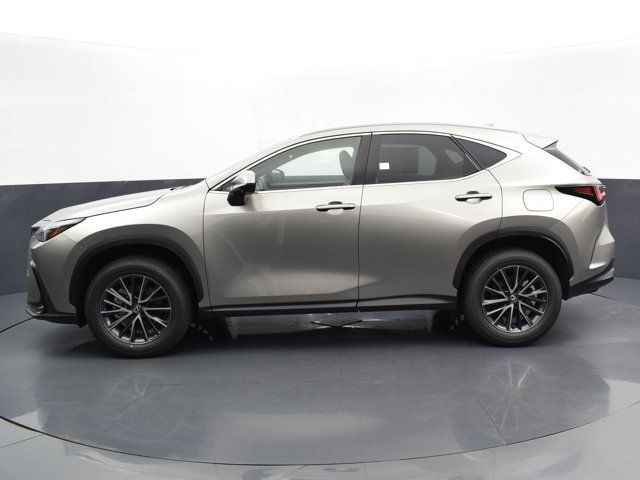 2024 Lexus NX 350 Premium