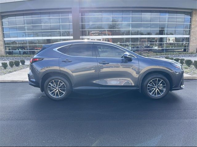 2024 Lexus NX 350 Premium