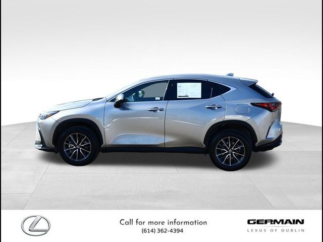 2024 Lexus NX 350 Premium