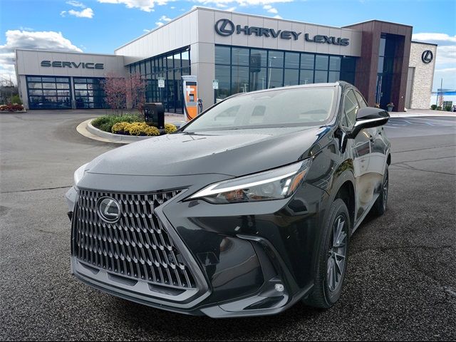 2024 Lexus NX 350 Premium