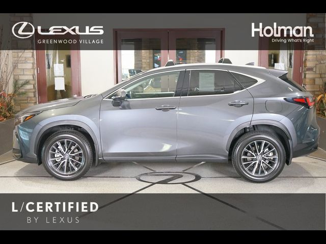 2024 Lexus NX 350 Premium