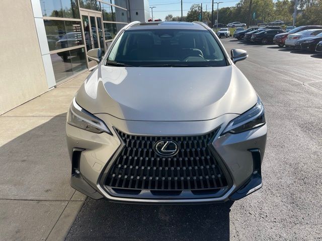 2024 Lexus NX 350 Premium