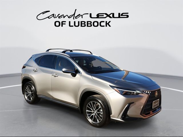 2024 Lexus NX 350 Premium