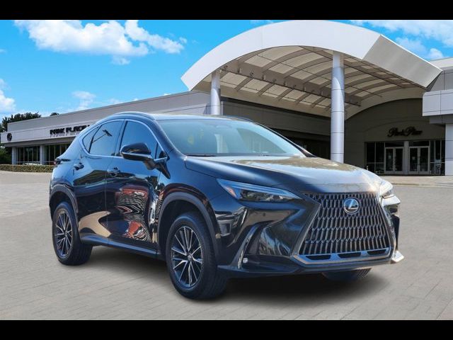 2024 Lexus NX 350 Premium