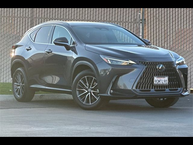 2024 Lexus NX 350 Premium